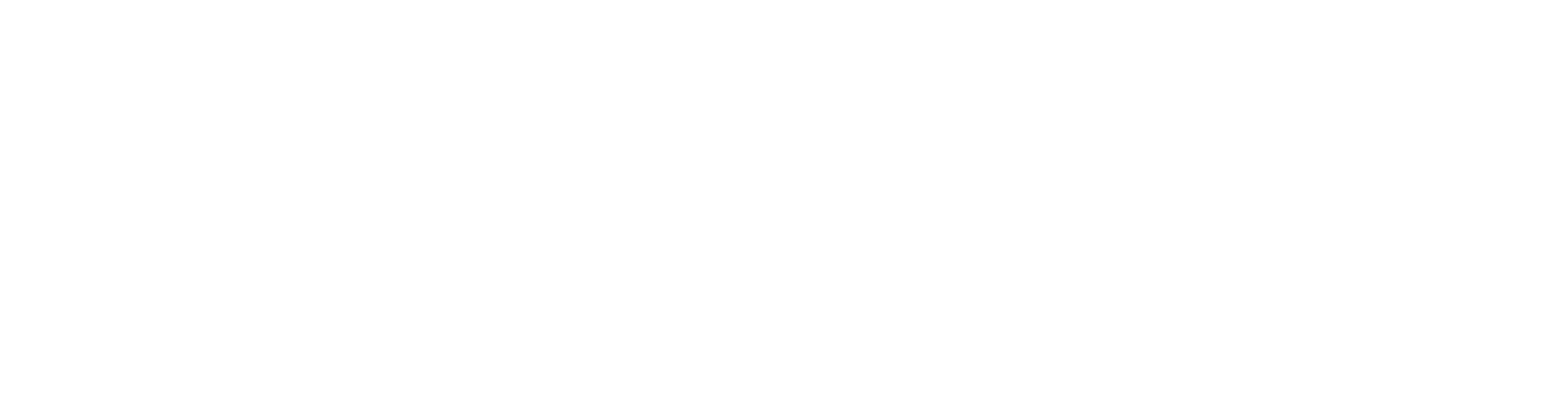 Homelessness Network